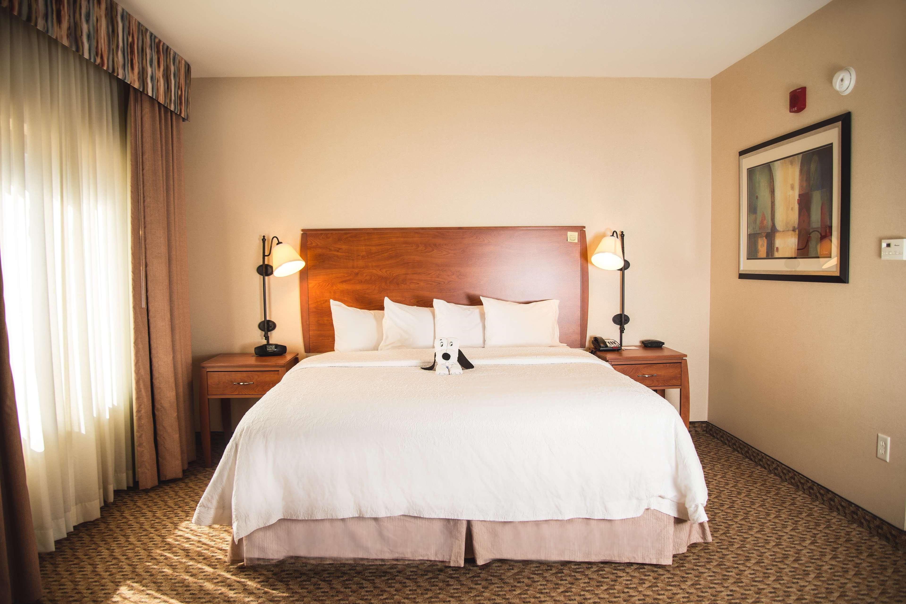 Hampton Inn & Suites Greeley Esterno foto