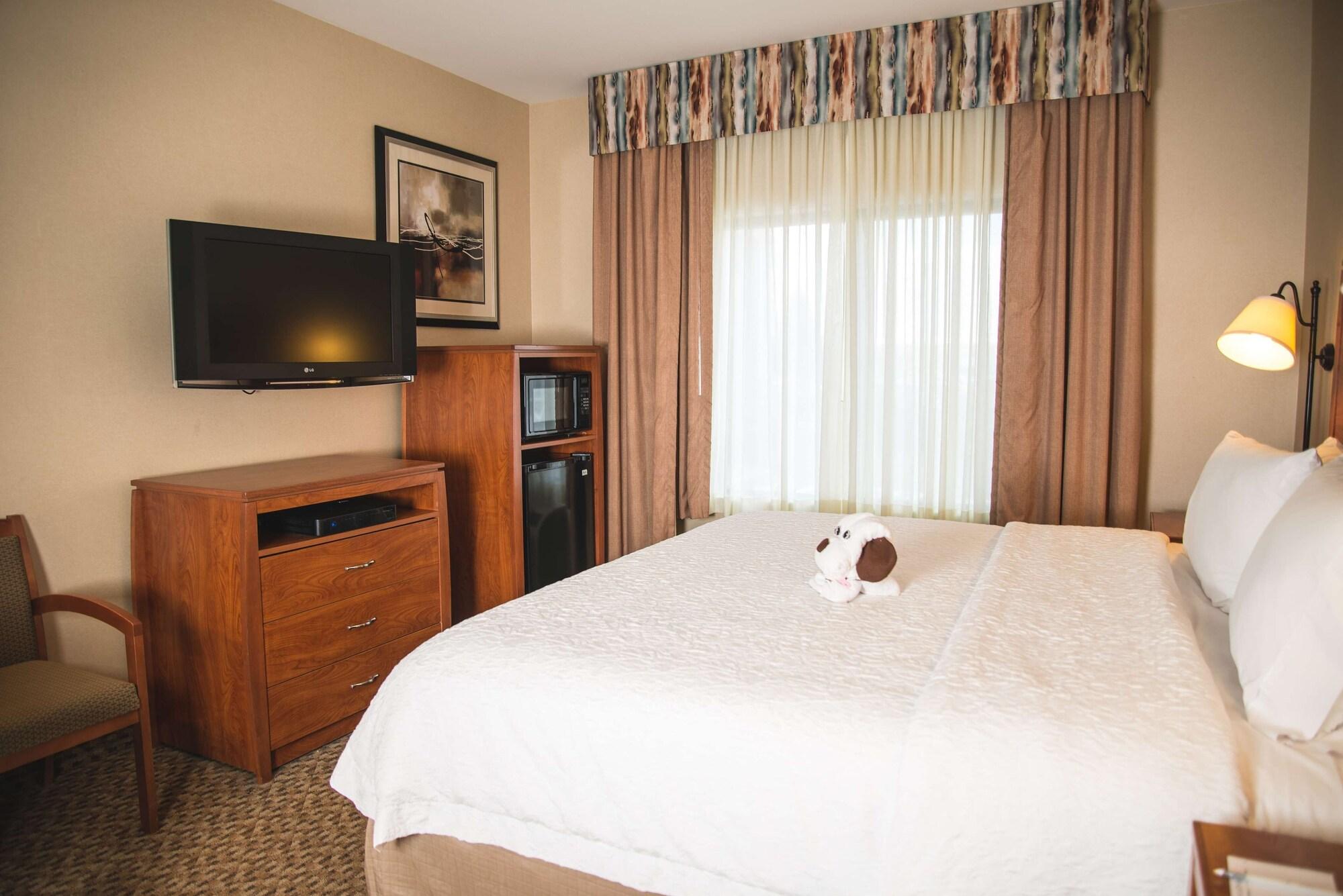 Hampton Inn & Suites Greeley Esterno foto