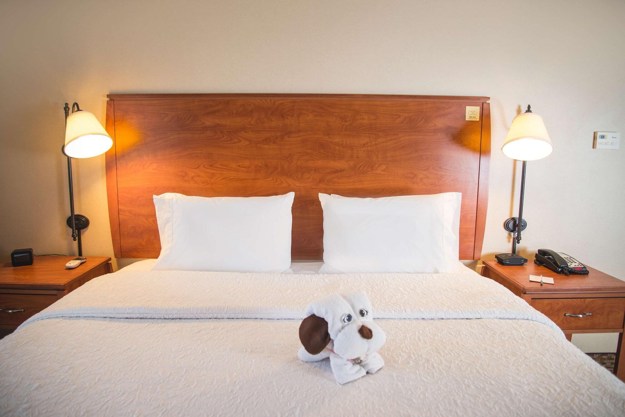 Hampton Inn & Suites Greeley Esterno foto